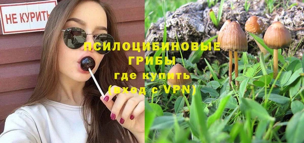 таблы Анива