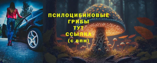 таблы Анива