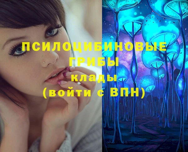 тгк Апатиты