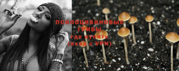 таблы Анива