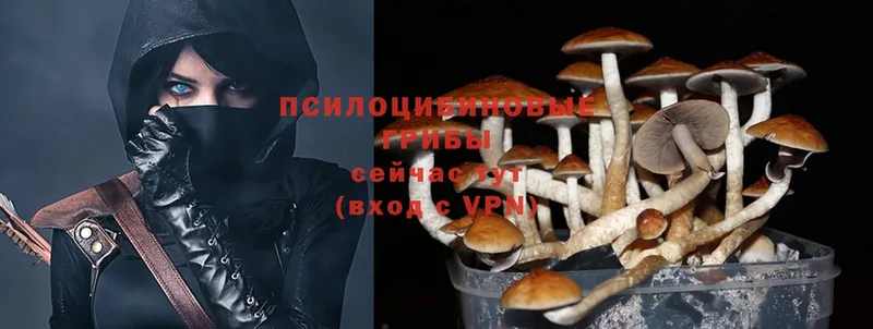 Псилоцибиновые грибы MAGIC MUSHROOMS  купить  сайты  Калач 